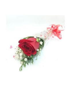 Single Rose