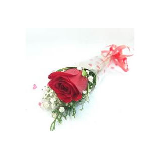 Single Rose
