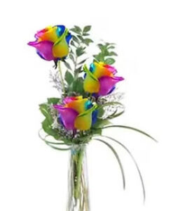 Rainbow Triple Rose Pre-order